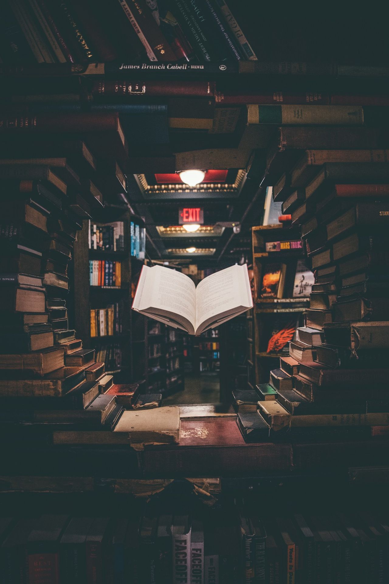 图二 · RAG · 图书馆里的书,每一本都贴了编号,需要时调出来